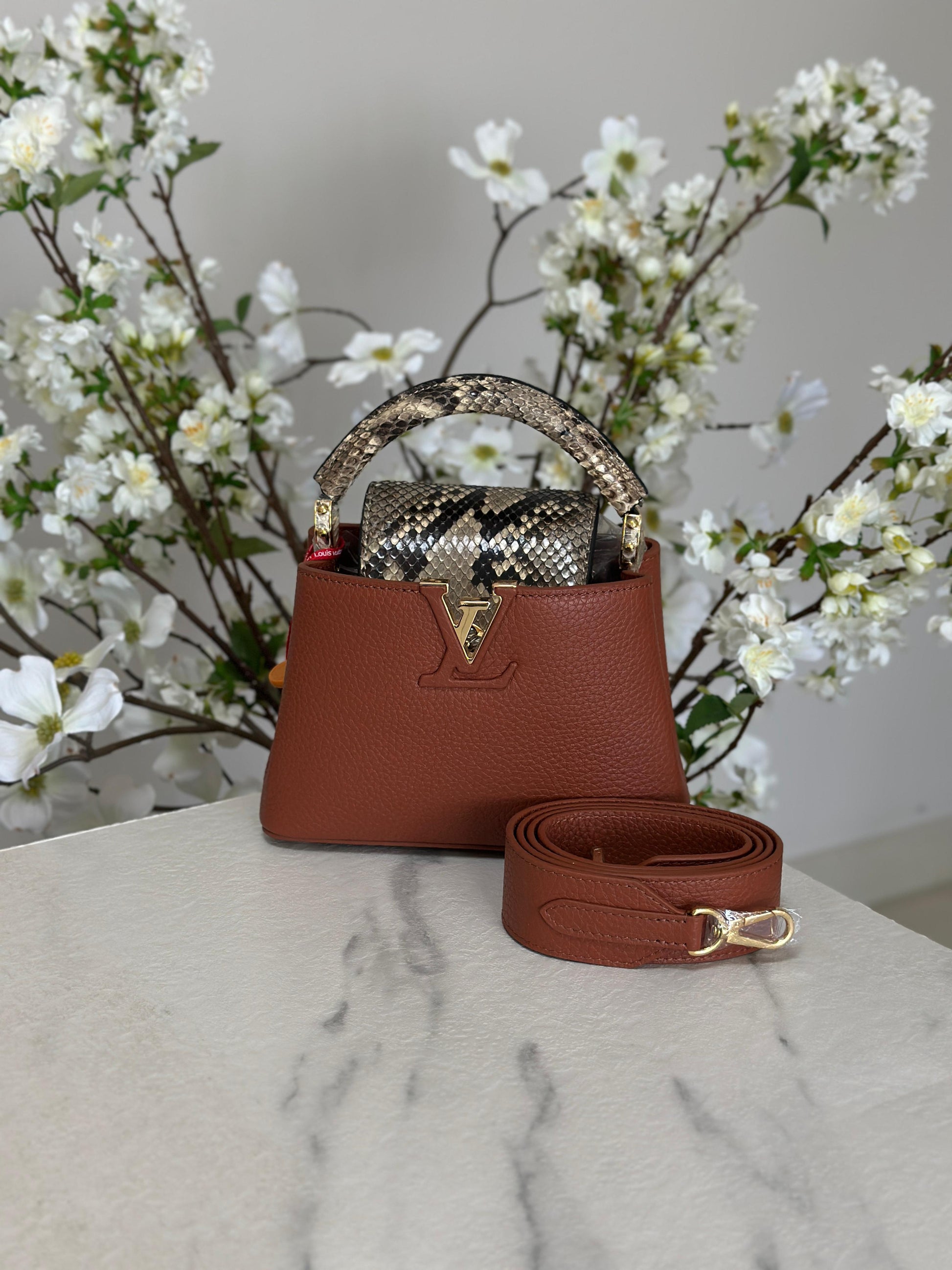 Louis Vuitton Bag | Capucines Brown Python