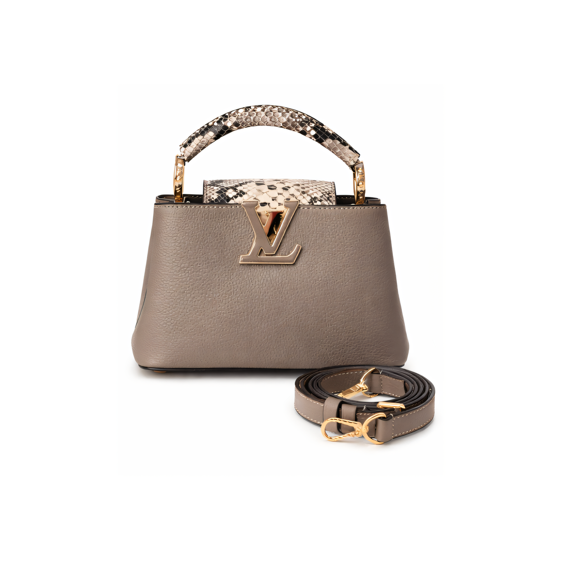 Louis Vuitton Bag | Capucines Gray Python