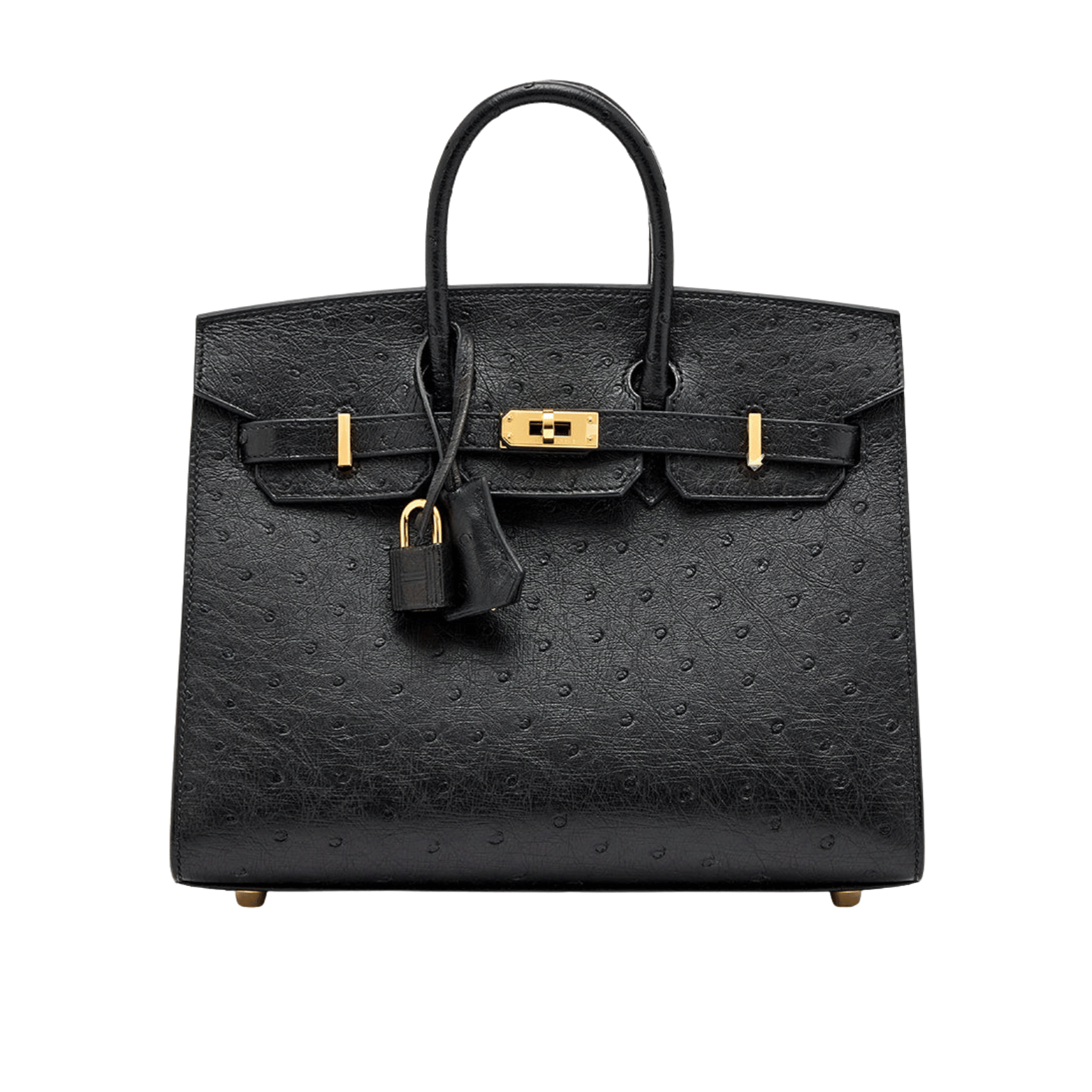 Hermès Bag | Ostrich Birkin Sellier Black