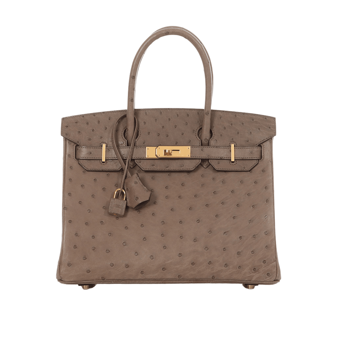 Hermès Bag | Ostrich Birkin Sellier Brown