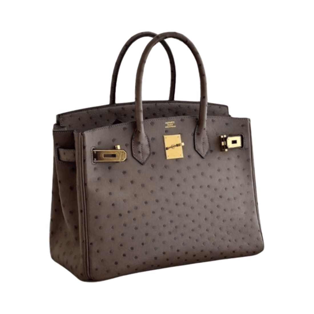 Hermès Bag | Ostrich Birkin Sellier Brown